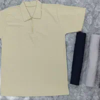 تیشرت بیسکوئیتی فقط ۱۷۹هزار تومان