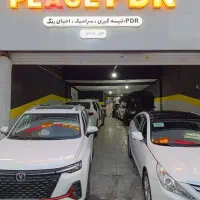 نقاشی و لیسه گیری.سرامیک .بازسازی خودرو