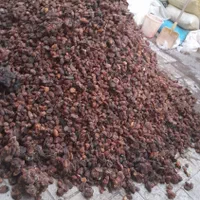 خرید وفروش کشمش