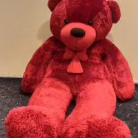 خرس بزرگ ۲.۵ متری