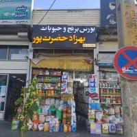 برنج و روغن و حبوبات با کالابرگ