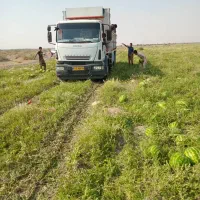 اویکو یوروکارگو|خودرو سنگین|شیراز, فضل‌آباد|دیوار