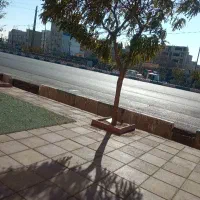 به یک آشپز آقا نیازمندیم