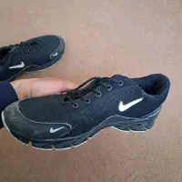 کتانی|کیف، کفش، کمربند|اردبیل, |دیوار