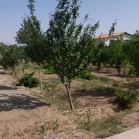 باغ ۱۲۰۰متری قابل معاوضه باشرایط|فروش زمین و ملک کلنگی|خوسف, |دیوار