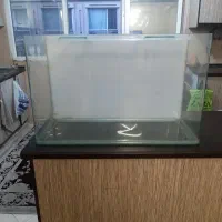 آکواریوم شیشه خم ۸۰ سانتی