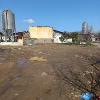 فروش مرغداری ۲۵هزار قطعه گیلان|فروش دفتر صنعتی، کشاورزی، تجاری|خمام, |دیوار