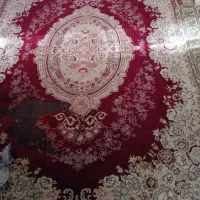 قالی دوازده متری|فرش|زاهدان, |دیوار