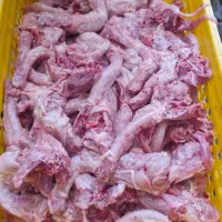 کارگر ساده نیازمندیم
