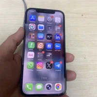 iPhone 12 normal Darkblue