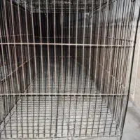 قفس|لوازم جانبی حیوانات|نسیم‌شهر, |دیوار