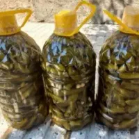 خیارشور اعلا همدان