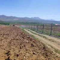 زمین دیم حاجی اباد