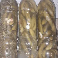 خیارشور خانگی ریز نوشابه ای|خوردنی و آشامیدنی|دهگلان, |دیوار