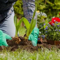 تیم متخصص امور باغبانی برای اولین بار در شهرستان|خدمات باغبانی و درختکاری|تربت‌حیدریه, پیشکوه|دیوار