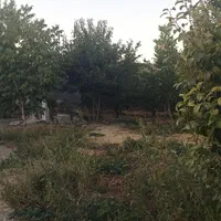 ۱۳۰۰ متر باغ در بیلوار روستای مرزبانی|فروش خانه و ویلا|بیلوار, |دیوار