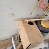 قفس و لونه مرغ عشق و طوطی|لوازم جانبی حیوانات|بابل, |دیوار