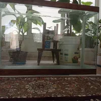 آکواریوم شیشه خم اندازه 90/30