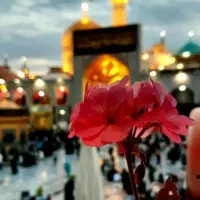 تور مشهد با اقساط راحت، زیارت کنید