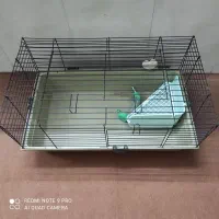 قفس خرگوش