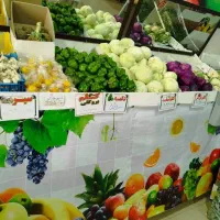 بساط کامل میوه فروشی|فروشگاه و مغازه|شیراز, شهرک بزین|دیوار