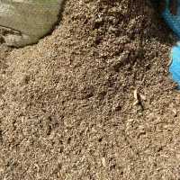 کود ارگانیک ورمی کمپوست