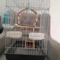 قفس پرنده ۱۰۳۲
