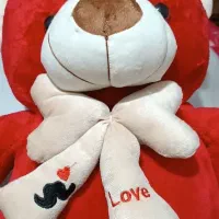عروسک خرسی نو(ولنتاین،روز زن)