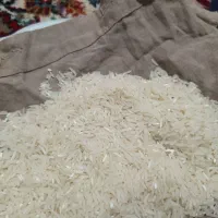 برنج فجر سوزنی نودروزه....|خوردنی و آشامیدنی|خان ببین, |دیوار