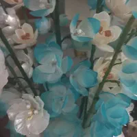 گل و گلدان|گل مصنوعی|قم, باغ شریفی|دیوار