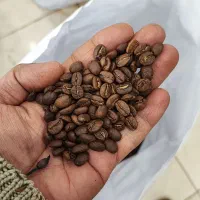 دان قهوه ، ویتنام ، اوگاندا ، برزیل ،کلمبیا