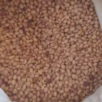 لوبیا چیتی مرغوب|عمدهفروشی|بهمن صغاد, |دیوار