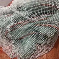 جل میگی نو نو