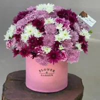 گل رز|گل و گیاه طبیعی|اصفهان, جلالیه|دیوار