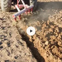 گاواهنطرح همدانی دیمه کاری|قطعات یدکی و لوازم جانبی|چناران, |دیوار