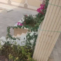 زمین-باغ-ویلا-900متری-سرچشمه-زارچ