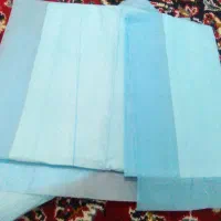 سگها شیتزو بسیار زیبا جنسیت نر|سگ|سقز, |دیوار