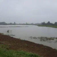 ۳۰ هکتار  کنار جاده فومن به ماسوله سند   ستخر ماهی