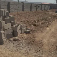 زمین-درشیخ-حسن