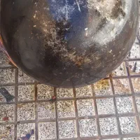 شستشو وسایل شیرین پزی ها .دیس دیک .گاز ..