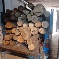 چوب توسکا گردو و اوجا ایرانی|عمده‌فروشی|تهران, اوقاف|دیوار