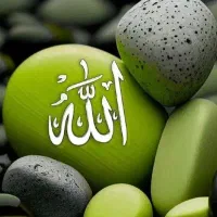 گمشده مدارک