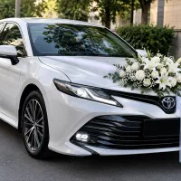 اجاره ماشین عروس Vip