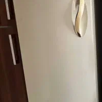 فریزر امرسان