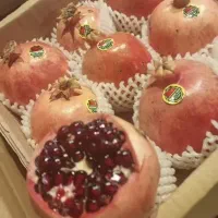 نیروی بسته بندی میوه و تره بار روزمزد و ماهیانه|استخدام خدمات فروشگاه و رستوران|شیراز, شهرک صنعتی شیراز|دیوار