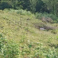 4617متر 500متر مسکونی|فروش زمین و ملک کلنگی|لاهیجان, آهندان|دیوار