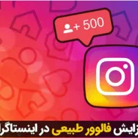 افزایش فالور انیستا