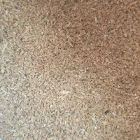 برویش یا بلغور|خوردنی و آشامیدنی|دیواندره, |دیوار