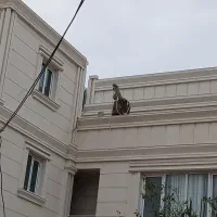 کاشی وسرامیک کاری