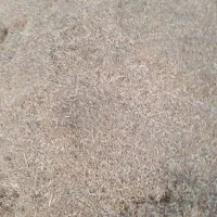 فروش کاه لوبیا